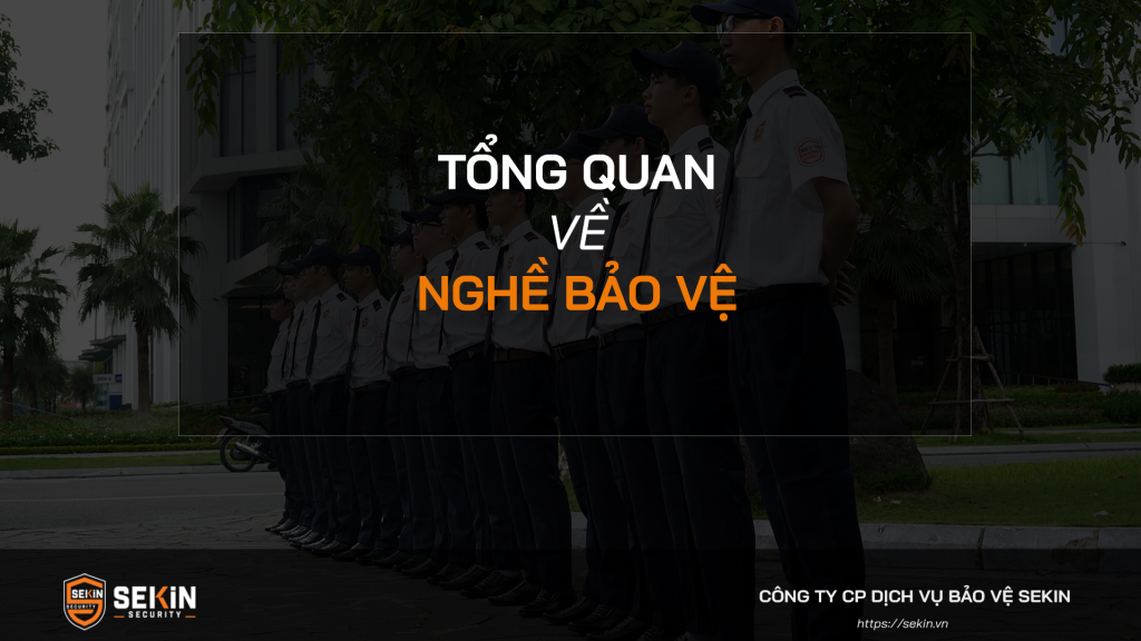 Tổng Quan Về Nghề Bảo Vệ