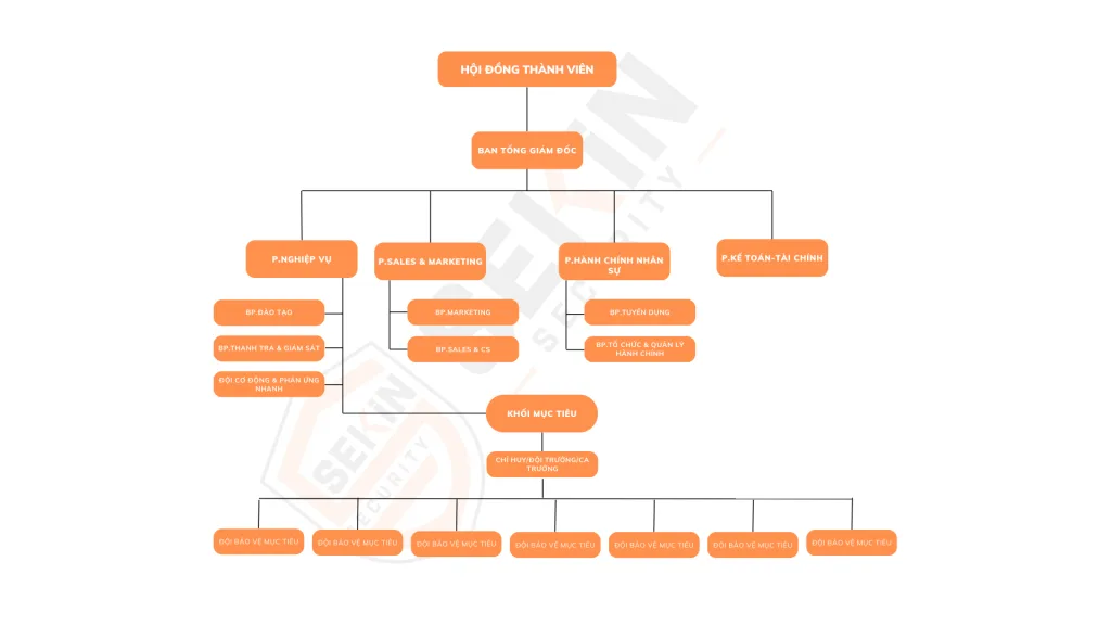 Sơ đồ tổ chức công ty bảo vệ SEKIN