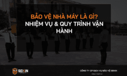 Bảo Vệ Nhà Máy Là Gì