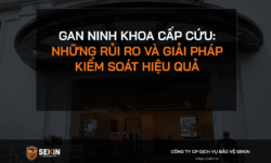 An Ninh Khoa Cấp Cứu