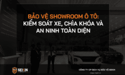 Bảo Vệ Showroom Ô Tô
