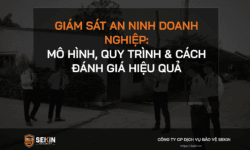 Giám Sát An Ninh Doanh Nghiệp