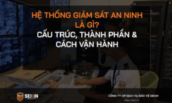 Hệ thống Giám sát An ninh là gì