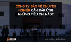 CÔNG TY BẢO VỆ CHUYÊN NGHIỆP CẦN ĐÁP ỨNG NHỮNG TIÊU CHÍ NÀO