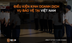 Điều Kiện Kinh Doanh Dịch Vụ Bảo Vệ Tại Việt Nam