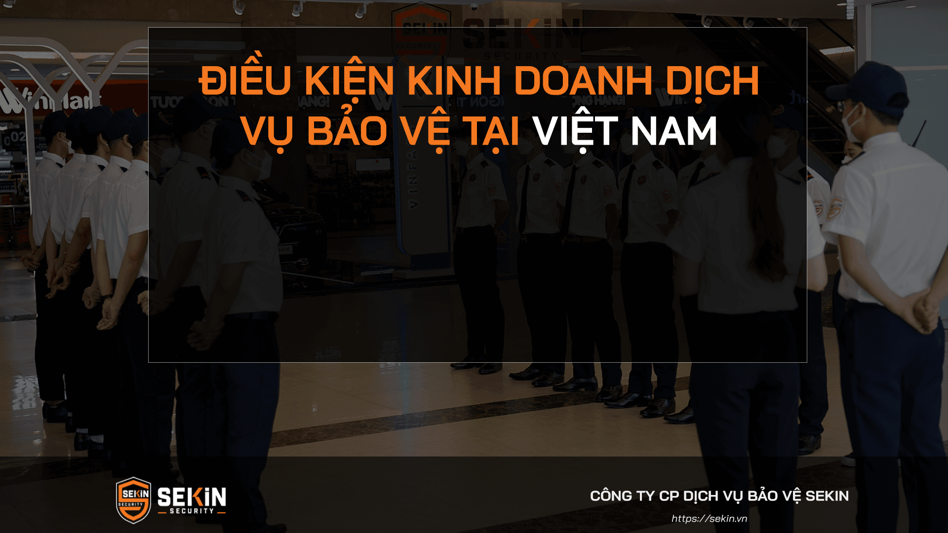 Điều Kiện Kinh Doanh Dịch Vụ Bảo Vệ Tại Việt Nam