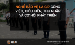 Nghề Bảo Vệ Là Gì